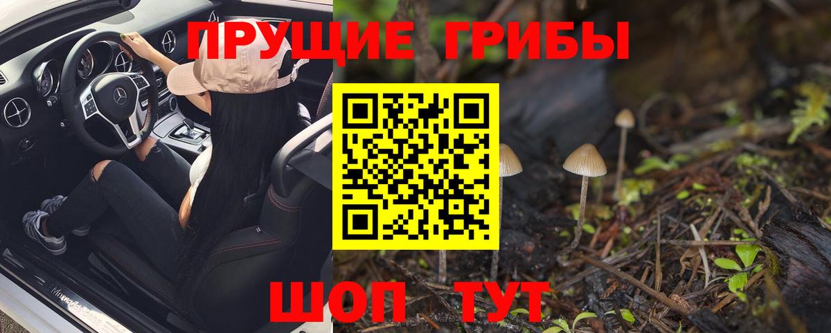 Псилоцибиновые грибы Psilocybe  Вход с VPN  Севастополь  где найти наркотики  Псилоцибиновые грибы Psilocybine cubensis 